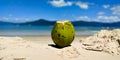 A beautiful landscape composed of coconut on the beach sand.