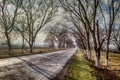 Beautiful landscape of country side road with trees in winter time at sunset. Azerbaijan, Caucasus, Sheki, Gakh, Zagatala Royalty Free Stock Photo