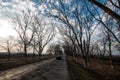 Beautiful landscape of country side road with trees in winter time at sunset. Azerbaijan, Caucasus, Sheki, Gakh, Zagatala Royalty Free Stock Photo