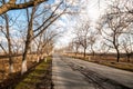 Beautiful landscape of country side road with trees in winter time at sunset. Azerbaijan, Caucasus, Sheki, Gakh, Zagatala Royalty Free Stock Photo