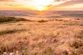 Beautiful landscape of crop fields in the Palouse region of eastern Washington Royalty Free Stock Photo