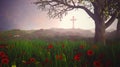 Beautiful landscape with cross