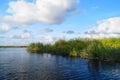 Beautiful landscape of the Danube Delta, Romania Delta Dunarii Royalty Free Stock Photo