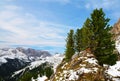 View from mountain Sasso Lungo. Province of Trento, South Tyrol, Italy.