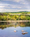 Beautiful landscape with duck on the stone in the river on cloudy spring day Royalty Free Stock Photo