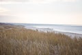 A beautiful landscape of dunes on the coastline of Baltic sea Royalty Free Stock Photo