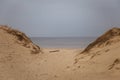 A beautiful landscape of dunes on the coastline of Baltic sea
