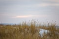 A beautiful landscape of dunes on the coastline of Baltic sea