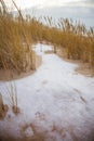 A beautiful landscape of dunes on the coastline of Baltic sea Royalty Free Stock Photo