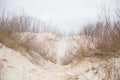 A beautiful landscape of dunes on the coastline of Baltic sea Royalty Free Stock Photo