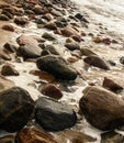 A beautiful landscape of dunes on the coastline of Baltic sea Royalty Free Stock Photo