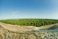 Beautiful landscape, dunes, wood and sea