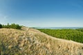 Beautiful landscape, dunes, wood and sea