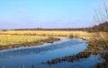 Beautiful landscape. Early spring, a flowing river, dry yellow grass, against the background of a rich blue sky. Royalty Free Stock Photo