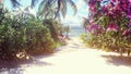 A beautiful landscape with a fabulous beach with beautiful flowers and trees growing on it, blue sky and white sand