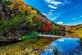 Beautiful Landscape of Fall Foliage and Clear Creek at Lost Maples State Park, Texas