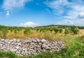 Beautiful landscape with famous Castel del Monte in Apulia, Italy Royalty Free Stock Photo