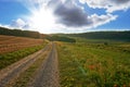 Beautiful landscape of a farm with a path at sunrise with a cloudy blue sky. Large endless land with lush green grass