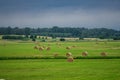 Beautiful landscape of a field with rolls of mowed grass and a dark stormy sky in Latvia in summer Royalty Free Stock Photo