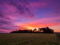 Beautiful landscape with field and a silhouttes of trees during magnificent sunset