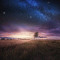 Beautiful landscape with field under sky with starrs