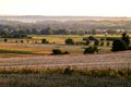 Beautiful landscape of fields and forests at golden hour. Single trees growing in the fields. The setting sun illuminating the Royalty Free Stock Photo