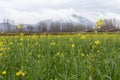 Beautiful landscape of a fields in the springtime Royalty Free Stock Photo