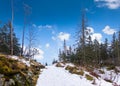 Bergen Mt Floyen, Norway. Forest snow landscape with hiking trail in winter. Royalty Free Stock Photo