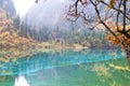 Beautiful Landscape of the Five Flower Lake in Jiuzhai Valley National Park Royalty Free Stock Photo