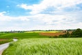 Grain Fields, fields, small village fare away in background Royalty Free Stock Photo