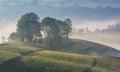 Beautiful landscape of a foggy morning with an old house and trees Royalty Free Stock Photo