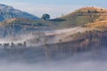 Beautiful landscape of a foggy morning with an old house and trees Royalty Free Stock Photo