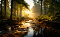 Beautiful landscape forest at dawn in the gentle light of the rising sun Light streaks across streams and rocks. Golden glow Royalty Free Stock Photo