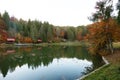 Beautiful landscape with forest and houses near lake Royalty Free Stock Photo