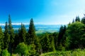 Beautiful landscape, forest and meadow and lake with mountain in background. Slovakia, Central Europe. Royalty Free Stock Photo