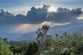 Beautiful landscape of the forest in the mountains during sunset Royalty Free Stock Photo