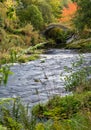 Beautiful landscape of forest with Packhorse Bridge, Glenlivet, Scottish Highlands Royalty Free Stock Photo