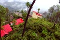 -Beautiful landscape with forest and pines, mountain cottage and fog and low clouds in the mountains.