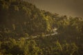 Beautiful landscape with forest during trekking in Himalaya Mountains, Nepal Royalty Free Stock Photo