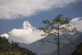 Beautiful landscape with forest during trekking in Himalaya Mountains, Nepal Royalty Free Stock Photo