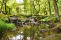 Beautiful landscape formed by small waterfalls on stones within a lush and green forest. Concept landscape, water, forest,