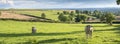 beautiful landscape of french morvan with green grassy fields with bull and cow under blue sky with clouds Royalty Free Stock Photo