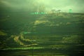 Beautiful landscape and fresh green tea farm Royalty Free Stock Photo