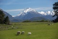 Beautiful landscape of Glenorchy, New Zealand Royalty Free Stock Photo