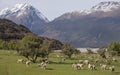 Beautiful landscape of Glenorchy, New Zealand Royalty Free Stock Photo