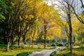 Autumn landscape of Yinzhou Park, Ningbo, China