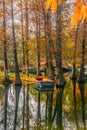 Autumn landscape of Yinzhou Park, Ningbo, China