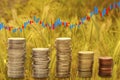 Beautiful landscape, golden fields of ripening wheat, rye, cereals, stacks of coins, trading schedule, agricultural concept,