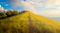 Beautiful landscape of golden grass fields mountain