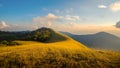 Beautiful landscape of golden grass fields mountain